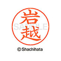 シヤチハタ ネームペン用ネーム シルバー 既製 岩越 FC46080-X-GPS-0309