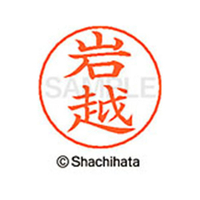 シヤチハタ ネームペン用ネーム シルバー 既製 岩越 FC46080-X-GPS-0309