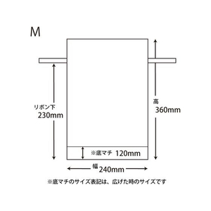 ヘイコー 不織布製巾着袋 Fバッグ Wシャンテ M 無地NB 10枚 FC175SE-008739955-イメージ2