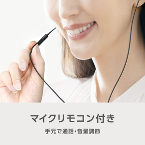 e angle USB Type-C有線イヤホン シルバー ANGV-EPC10-A-S-イメージ4