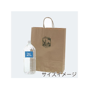 シモジマ 紙袋 25チャームバッグ 2才 アフタヌーン 50枚 FCN4152-003230438-イメージ5