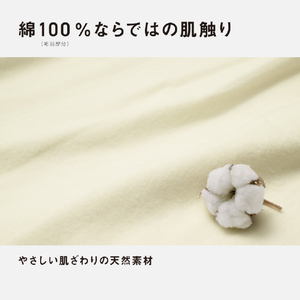 パナソニック 電気かけしき毛布(シングルMサイズ) ベージュ DB-RC41M-C-イメージ7