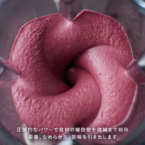 バイタミックス EXPLORIAN SERIES Vitamix E310 ホワイト 65738-イメージ2
