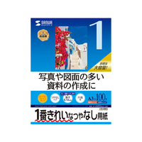 サンワサプライ IJ用スーパーファイン用紙 A3 100枚 F114395-JP-EM5NA3-100