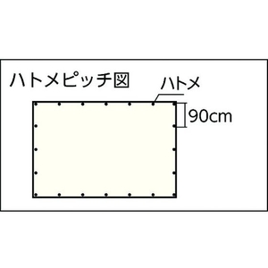 ユタカメイク 薄手ブルーシート 3.6m×5.4m FC839GF-3675548-イメージ6