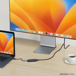Hyper HyperDrive Next 4 Port USB-C ハブ HP-HD4001GL-イメージ4