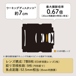 ニコン NIKKOR Z DX MC 35mm f/1．7 NZDXMC35-イメージ5