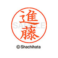 シヤチハタ ネームペン用ネーム シルバー 既製 進藤 FC47072-X-GPS-1301