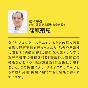 カワダ ダイヤブロック KIHONIRO(キホンイロ) L ND-08 ﾀﾞｲﾔﾌﾞﾛﾂｸｷﾎﾝｲﾛL-イメージ9