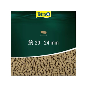 スペクトラムブランズジャパン テトラ レプトミン 超大粒 200g FC640TF-イメージ2