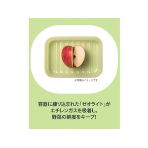 ＬＩＶ ＰＬＵＳ LocknLock 保存容器 760mL グリーン ロック&ロック FCE274W-HLE5300NCR-イメージ3