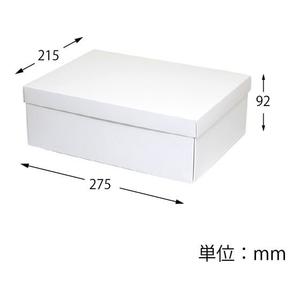 ヘイコー 白無地箱 カバン箱 A 10枚 FC177SF-006818600-イメージ2