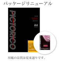 PICTORICO A4 ピクトリコプロ・ソフトグロスペーパー 20枚入り PPG210-A4/20