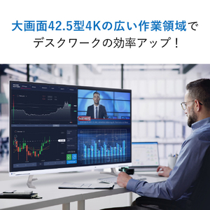 EIZO 42．5型液晶モニター FlexScan EV4340X ブラック EV4340X-BK-イメージ2