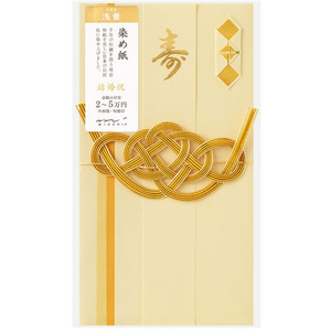 デザインフィル 祝儀袋 金封 結婚祝 染め紙 浅黄 FC499SU-25604006-イメージ2