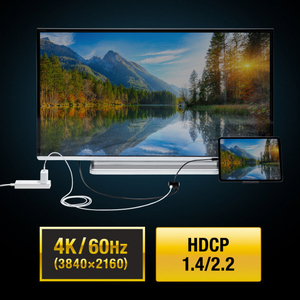 サンワサプライ USB Type-C-HDMI変換アダプタ(4K/60Hz/PD対応) AD-ALCPHDPD-イメージ13