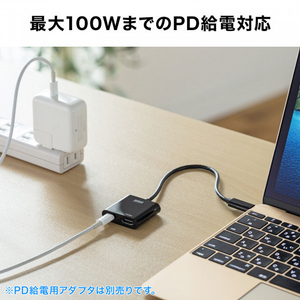 サンワサプライ USB Type-C-HDMI変換アダプタ(4K/60Hz/PD対応) AD-ALCPHDPD-イメージ14