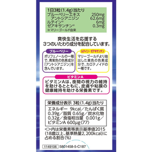 井藤漢方製薬 ブルーベリールテインプラス 132粒 FC964MS-イメージ2