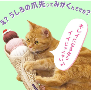 ドギーマン 猫のうしろ足爪みがき アイス様 FCJ980J-イメージ5
