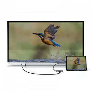 サンワサプライ USB Type C-HDMI/VGA変換アダプタ(4K/30Hz/PD対応) AD-ALCHV02-イメージ2