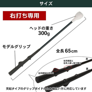 タバタ モデルグリップタイプトルネード FCE428S-GV8029-イメージ3