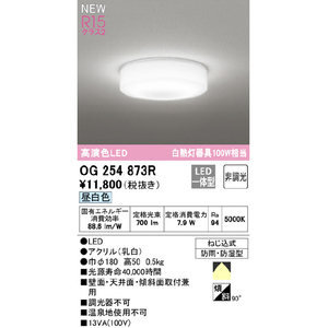 オーデリック LED屋外照明 OG254873R-イメージ2