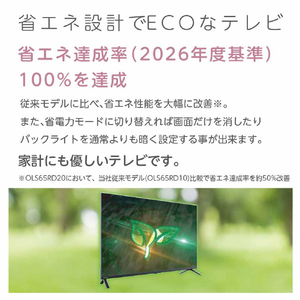 オリオン ORION 55型スマートテレビ OLS55RD20-イメージ8