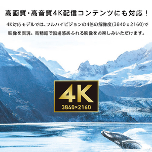 オリオン ORION 55型スマートテレビ OLS55RD20-イメージ9
