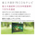 オリオン ORION 55型スマートテレビ OLS55RD20-イメージ8