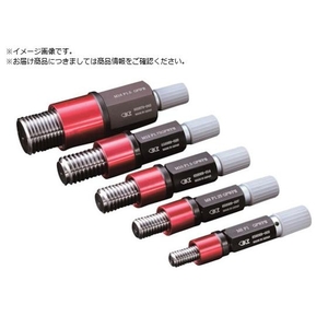 アイゼン/ワンウェイねじプラグゲージ SPO GPIP2 通り止り FCD199B-2480451-イメージ1
