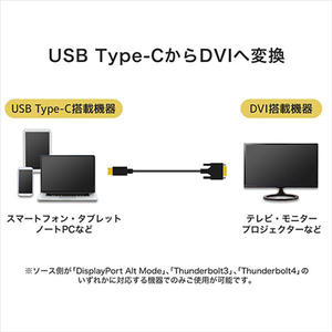 ホーリック USB Type C→DVI変換ケーブル(3m) ブラック UCDV30-750BB-イメージ2