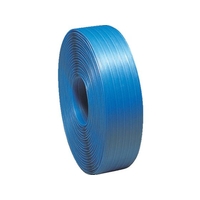 大日製罐 引締用PPバンド 19mm 黄 FC223GW-4493958
