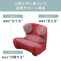 MTG ST-DC2039F-B Style Dr.CHAIR/スタイルドクターチェア Style
