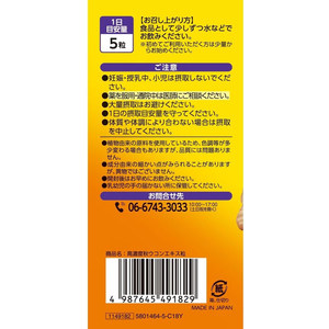 井藤漢方製薬 高濃度秋ウコンエキス粒 251mg×300粒 FC970MS-イメージ3