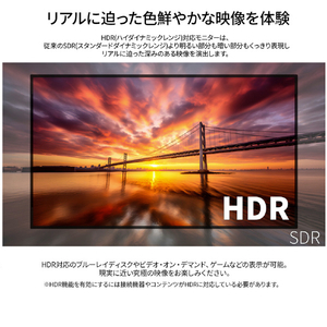 JAPANNEXT 21．5インチ 液晶ディスプレイ ブラック JN-215IPS120F-HSPC6-イメージ7