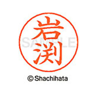 シヤチハタ ネームペン用ネーム シルバー 既製 岩渕 FC46097-X-GPS-0326