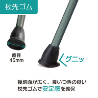 竹虎 104754ﾋﾕ-ｺﾞｽﾃﾂｷ ヒューゴステッキ グレー|エディオン公式通販