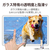 エレコム Google Pixel Tablet(2023年モデル)用ガラスフィルム ブルーライトカット  硬度10H TB-P231FLGGBL-イメージ6