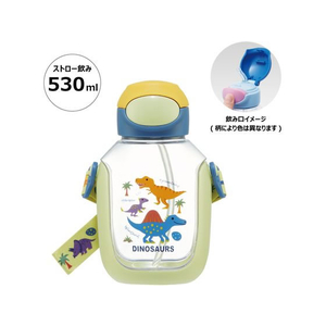 スケーター ワンプッシュストローボトル 530mL ディノサウルス FC179RW-PDSH6DX-イメージ1