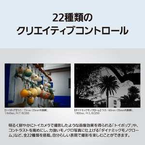 パナソニック デジタルカメラ LUMIX ブラック DC-TX3-K-イメージ11