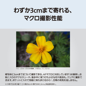 パナソニック デジタルカメラ LUMIX ブラック DC-TX3-K-イメージ7