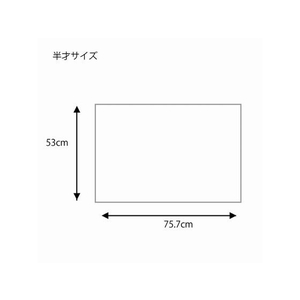 ヘイコー 包装紙 半才半晒 フェザーイニシャル 100枚 FC118SC-002322200-イメージ4