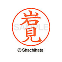 シヤチハタ ネームペン用ネーム シルバー 既製 岩見 FC46101-X-GPS-0330