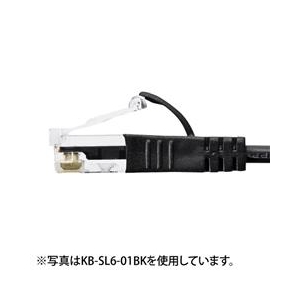 サンワサプライ カテゴリ6準拠極細LANケーブル(10m) ブルー KB-SL6-10BL-イメージ2