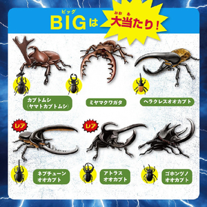 宝島社 最強昆虫王者決定! 掘って遊べる カブトムシ VS クワガタ リアルフィギュア 大乱闘コレクションBOOK ｶﾌﾞﾄﾑｼVSｸﾜｶﾞﾀﾀﾞｲﾗﾝﾄｳCﾌﾞﾂｸ-イメージ5
