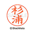 シヤチハタ ネームペン用ネーム シルバー 既製 杉浦 FC47088-X-GPS-1317