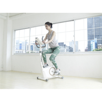 アルインコ AFB5721W エアロマグネティックバイク5721 ALFITS ホワイト