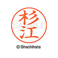 シヤチハタ ネームペン用ネーム シルバー 既製 杉江 FC47089-X-GPS-1318