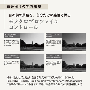 OM SYSTEM PEN ボディｰ SLV シルバー OMSYSTEMPENSLV-イメージ8