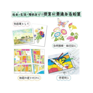 サクラクレパス クーピーペンシル12色(ソフトケース入り) 5個 FC438YP-FY12-R1-イメージ6